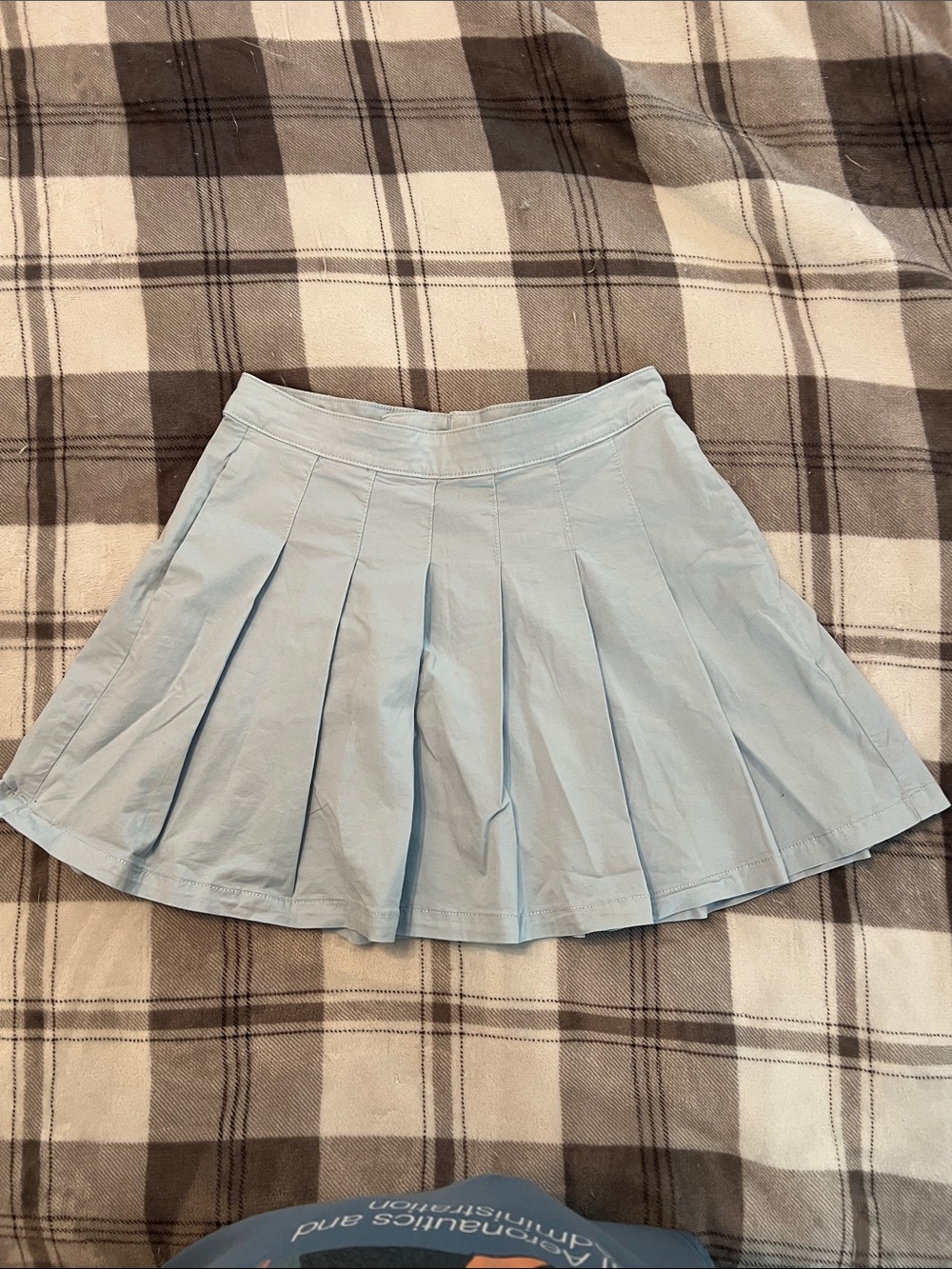 American Eagle Outfitters Light Blue Pleated Skater Skirt